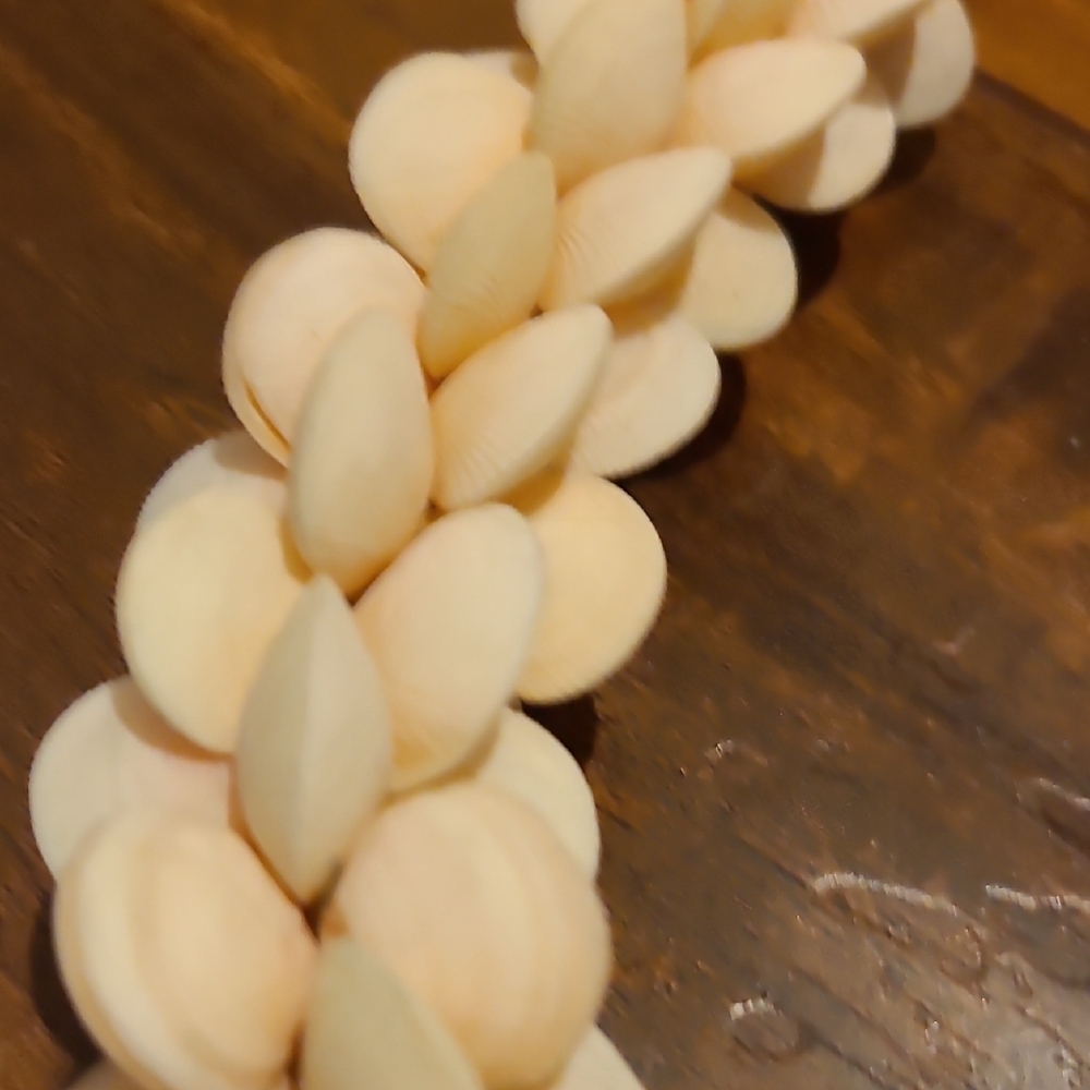 Rare Vintage Elegant Cream Shell Necklace - Picture 3 of 16